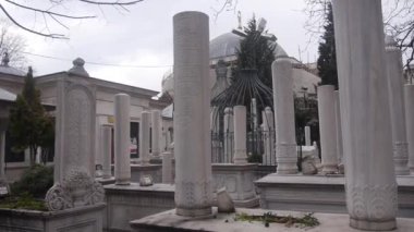 Mezarlıktaki Kuru Ağaç dallarıyla Beyaz Sütunlar - Statik