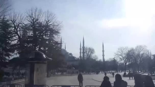 Passant Près Mosquée Derrière Les Branches Arbres Secs Les Gens — Video