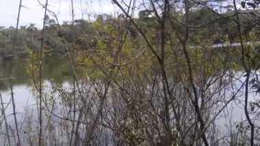 Dallar ve Flora su kaynağının önünde sağdan sola kayıyor ve yakınlaştırıyor.