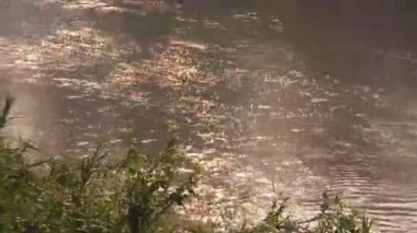 Güneş Suyun Üzerinde Parlıyor, Kaynak - Pan Sağdan Sola