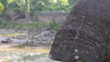  Kayadan Ağaca Kayık Su Kaynağından Sola Kayıyor.