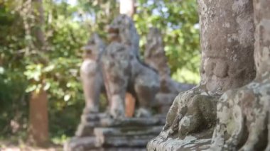 Flora Çevrili Gargoyles Sağdan Sola Kaydır ve Odaklan.