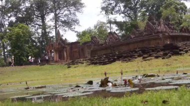 Kaya Binasının Önündeki Su Kaynağı Üzerine Nenuphars