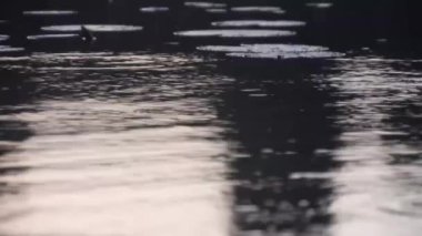 Su Dalgalanmaları - Yakın ve El Altında - Keskinleşene Kadar Bulanık