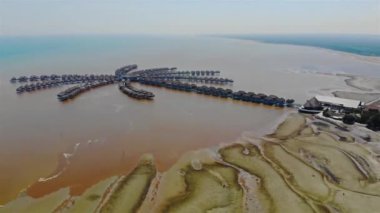  Batı Malezya 'da Büyük Palmiye Ağacı Tasarımı Hava Eğilimi.