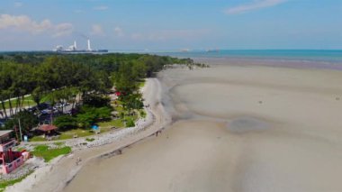 Deniz kenarındaki yemyeşil ağaçlar Parlak mavi gökyüzünün altında