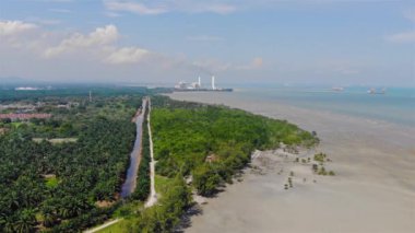 Sıcak bir günde Sepang Malezya 'da Tropik Orman Sağdan Sola.