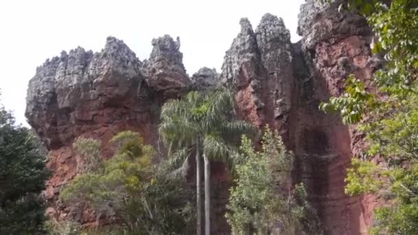 Palm Tree Flora Κοντά Στο Red Rock Mountain Στατική — Αρχείο Βίντεο