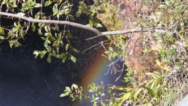 落水下的彩虹落叶后 放大和放大 — 图库视频影像
