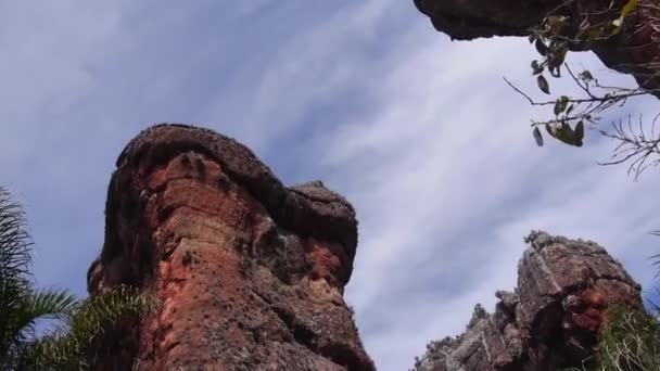 Kızıl Kaya Dağları Flora Sağdan Sola Dön Eğil — Stok video