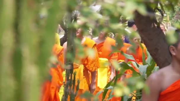 Monks Walking Leaves Handheld — Stock video
