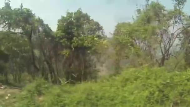 Arkadaki Dağlarla Flora Dan Geçerken Sağdan Sola Kayıyor — Stok video