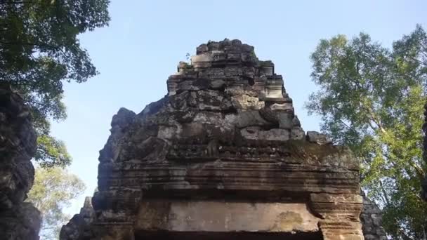 Carved Rock Gate Surrounded Flora Tilt — Stock Video