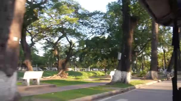 Ağaç Gövdesinin Yanından Geçerken Açık Arabadaki Bankları Kullanırken Soldan Sağa — Stok video