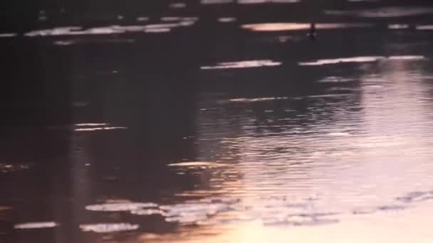 Regentropfen Auf Der Wasserquelle Unter Sonnenuntergang Statisch — Stockvideo