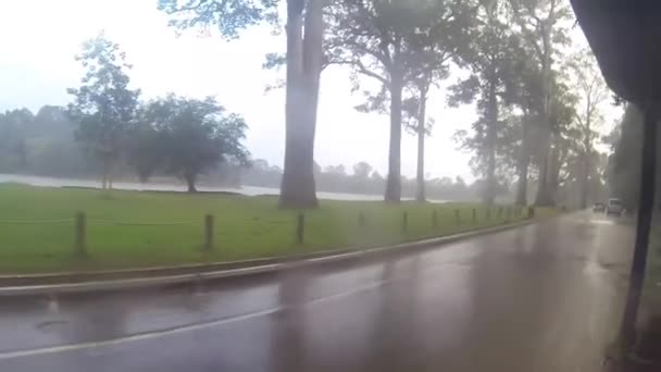 Road Rain Trees Slide Esquerda Para Direita — Vídeo de Stock