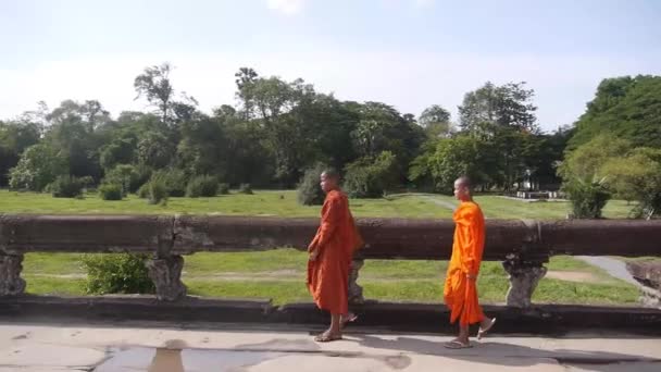 Молодые Монахи Идущие Очереди Женщиной Статично — стоковое видео