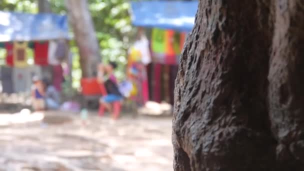 Tree Trunk Voor Kleurrijke Buiten Scene Schuif Forth Terug — Stockvideo