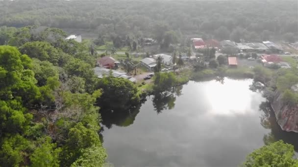 Natuurlijk Maakte Vijver Het Midden Van Een Jungle Met Lokale — Stockvideo