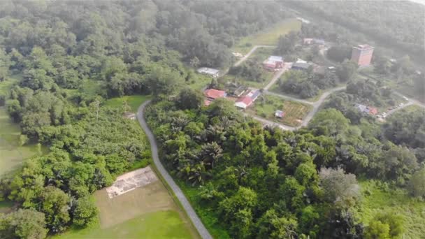 Kalın Orman Yeşil Ağaçları Arasındaki Küçük Köy — Stok video
