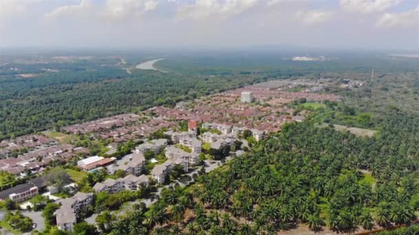 Açık Bir Günde Sepang Daki Evleri Çevreleyen Palmiye Ağaçlarının Havadan — Stok video