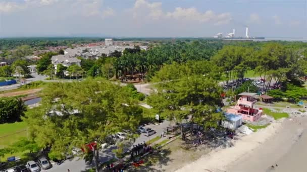 Palmeras Verdes Orilla Playa Claro Día Sin Nubes — Vídeos de Stock