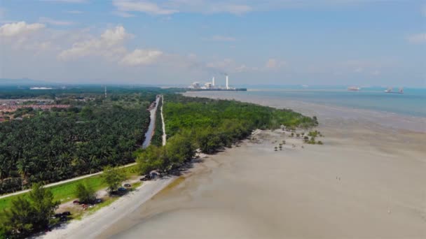 Palme Simili Giungla Vicino Alla Spiaggia Nel Sud Est Asiatico — Video Stock