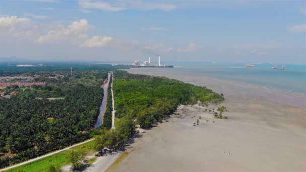 Foresta Tropicale Vicino All Oceano Acqua Sabbia Gialla Dorata — Video Stock