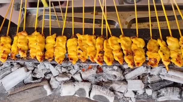Chicken Satay Skewers Being Grilbequed Burning Wood — Stock video