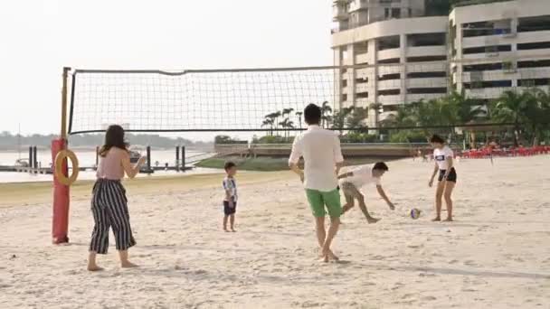 Een Groep Mensen Speelt Volleybal Het Strand — Stockvideo