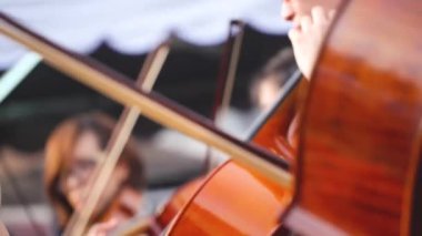  Orkestradaki Asyalı Kadın Kemancı Penang