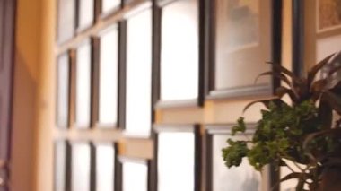Resim çerçeveleriyle dolu şık bir galeri duvarı