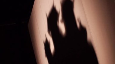 Asya Grubu Bir Tiyatroda Gölge Dansı Yapıyor.