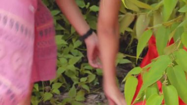 Çalkantılı Alandaki Çinli Adam Öge Topluyor 