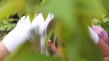 Yapraklı Bölgedeki Çinli Adam Eşyaları Hazırlıyor