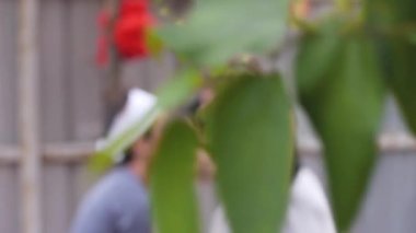 Penang 'da birine makyaj yapan Çinli kadın.