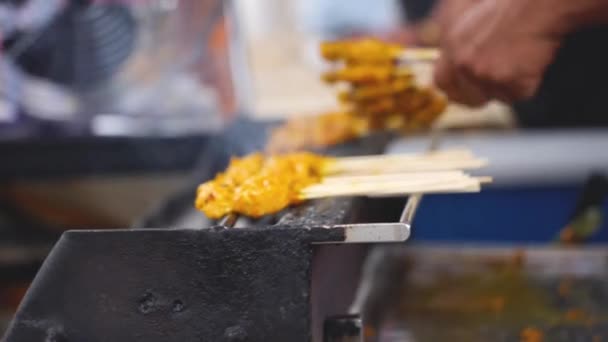 晒干的手烤鸡排 — 图库视频影像
