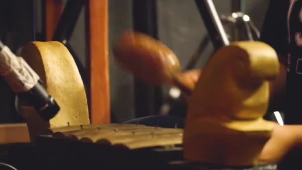 Indischer Mann Spielt Traditionelle Indische Instrumente Nahaufnahme — Stockvideo