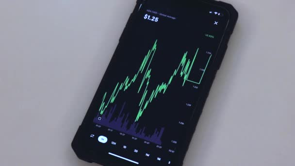 Ada Hour Chart Black Phone Placed Table — Vídeo de stock