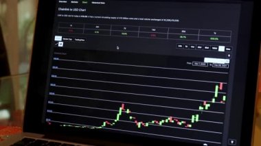 LINK 1 Year Candle Stick Charts on a Laptop