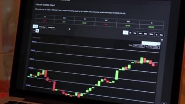 LTC 24 hours Candle Stick Charts on a Laptop