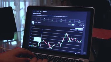 Woman going through ADA 14 days Candle Stick Charts on a Laptop