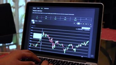 Woman going through DOT 14 days Candle Stick Charts on a Laptop