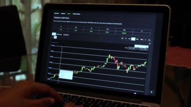 Woman going through DOT 30 days Candle Stick Charts on a Laptop