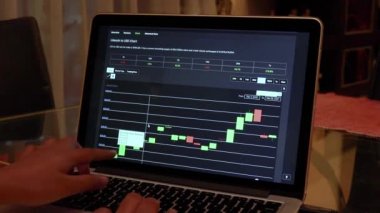 Woman going through Litcoin 90 days Candle Stick Charts on a Laptop