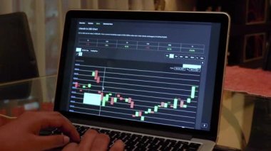Woman going through Litcoin 7 days Candle Stick Charts on a Laptop