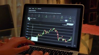 Woman going through Litecoin 30 days Candle Stick Charts on a Laptop