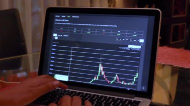Woman going through Litecoin Candle Stick Charts on a Laptop