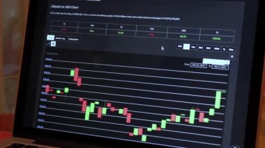 Woman going through LTC 7 days Candle Stick Charts on a Laptop