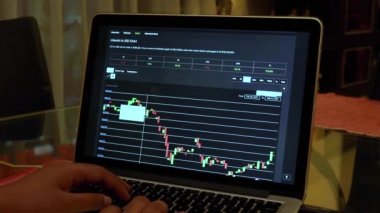 Woman going through LTC 14 days Candle Stick Charts on a Laptop